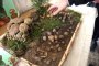 Картофът, универсално средство в световната кухня