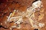 Скелети на руски военнослужещи са открити край праисторическото селище в Созопол 