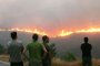 Пожарите в Гърция предизвикат екокатастрофа 