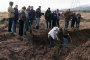 Наглите взели откуп за Кунгфуто и го убили