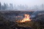 Огън погълна 100 000 хектара гори в Русия