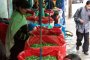 Боливия иска законна кока