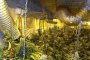 МВР разкри огромна подземна ферма за канабис 
