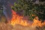 Пожар на 3500 дка бушува край Любеново
