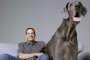 Най-високото куче в света е Немски дог