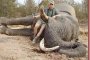 Кости от 108 слона заловиха в Дубай
