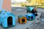  Мис България 2013 прави домове на бездомни кучета