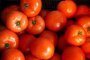 Бракувани домати от Гърция се пласират у нас 