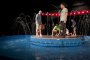 Цирк с танцуващи фонтани вдига завеса в София 