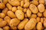 Учени ще отглеждат картофи при марсиански условия