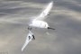 Самолет от бъдещето съкращава полета Лондон - Ню Йорк наполовина