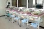   1973 бебета са проплакали в Майчин дом от началото на годината