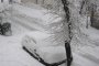  В Ловешка област снежната покривка достигна 70 см, в Сливенско скоростта на вятъра е 120 км/ч