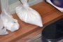  Над 3 килограма кокаин задържаха на летище София