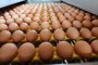   Яйцата намаляват риска от сърдечно-съдови заболявания 