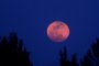   Кървавата луна този месец - най-дългото лунно затъмнение на 21-ви век 