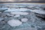   Най-старият и дебел лед на Арктика се разпада за първи път