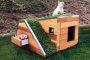   Устойчива кучешка колиба си има зелен покрив и вентилатор