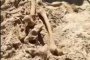 Откриха кости на плажа Атлиман в Китен 