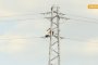 Десетки щъркели умират заради електрическите жици край Бургас 