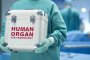 Разбита е група за нелегален трафик на органи за трансплантация 