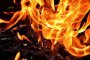 Пожар изпепели десетки декари гори край Видин