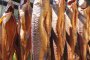 500 кг заразена с листерия румънска риба е достигнала българския пазар 