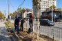   200 нови дръвчета и 225 храста засаждат покрай новата метростанция на Красно село