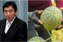  Японски министър подкупвал избиратели с пъпеши и раци