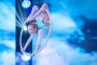  Малка акробатка на финала на България търси талант