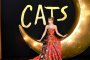 Световната премиера на Котките събра звездите
