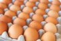  Свръхпроизводство на яйца при удължено извънредно положение