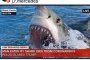 Мъж, изяден от акула, умря от коронавирус
