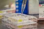 В Гърция с отрицателен PCR тест до 30 септември 