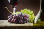  25% намаляха бг лозята при ГЕРБ, 17 пъти скочи вносът на грозде и вино от С. Македония за година: Клубът на аграрите