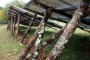 Построиха соларен парк на дървени колове във Франция