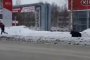  Мечка преследва мъж по улици на замръзнал град от Западен Сибир (Видео)