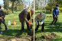  Засадиха над 200 дръвчета в инициативата Гората на децата   