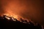 Tраур в 3 общини в памет на загиналите в пожар лесничеи 