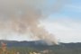 Пожарът в Рила е обхванал 15 дка борова гора 