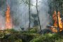 Пожарът над село Югово се разгоря с нова сила 