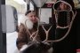Северен елен пътува в градския транспорт в Русия