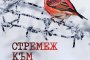 Стремеж към смисъл