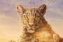 BBC Еarth 