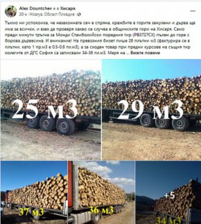 Александър Дунчев сигнализира за разлики между 5 и 10 кубика в декларираната и реално превозваната от камиони дървесина