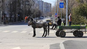 

 Всеки софиянец знае, че оставена до контейнерите стара печка или пералня, изчезва за броени минути, без да има каквато и да било инсталирана сигнализация – очевидно системата за скоростно предупреждаване сред водачите на каруци работи по-добре от всички държавни, взети заедно