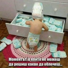 Вицове