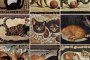    Мозайките от Вилата на котките в Помпей