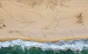 
Гълъб на Камчия: Най-голямата пясъчна рисунка в света