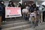 Южна Корея забрани консумацията на кучешко месо от 2027 г